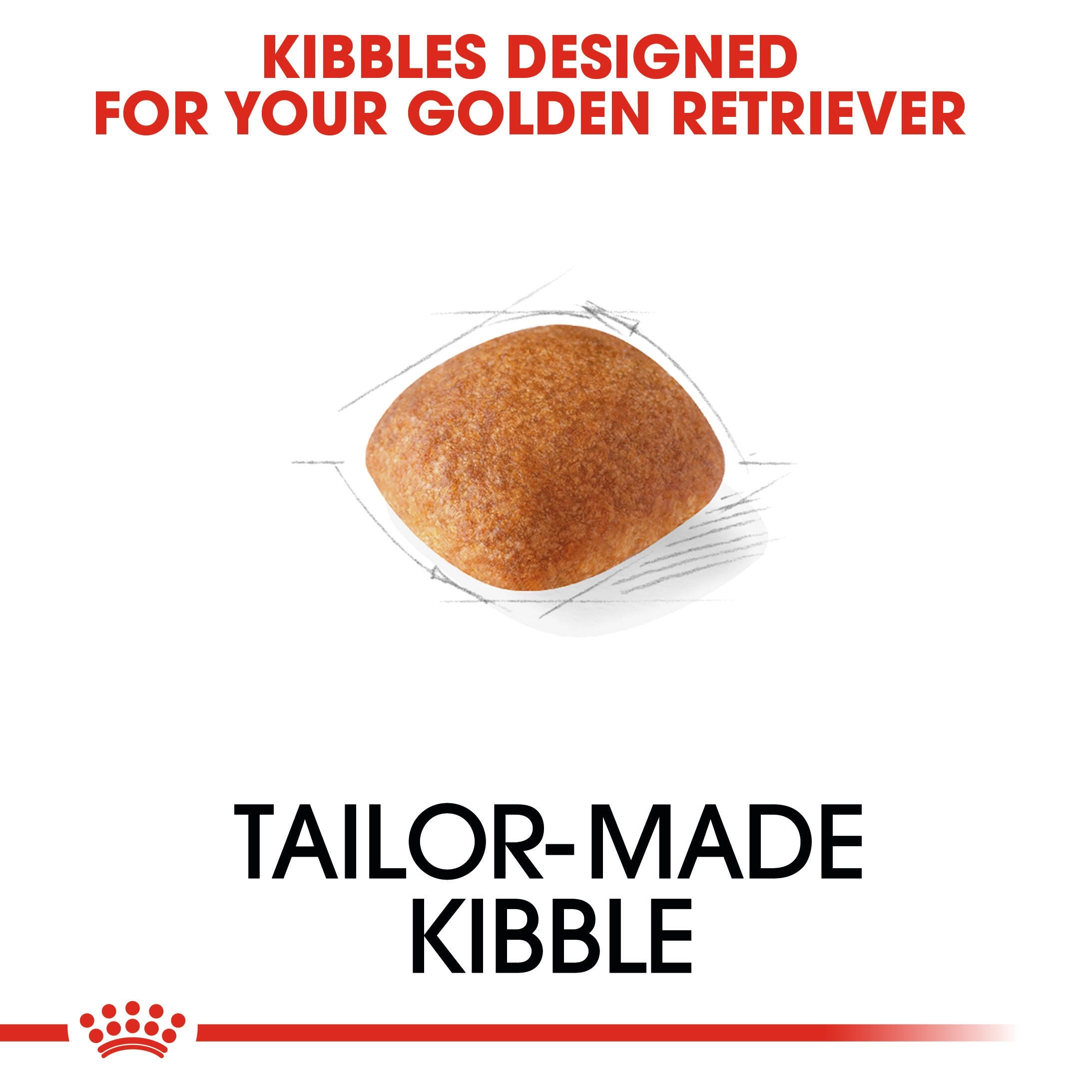 Royal Canin Golden Retriever Adult tailor-made kibble shape