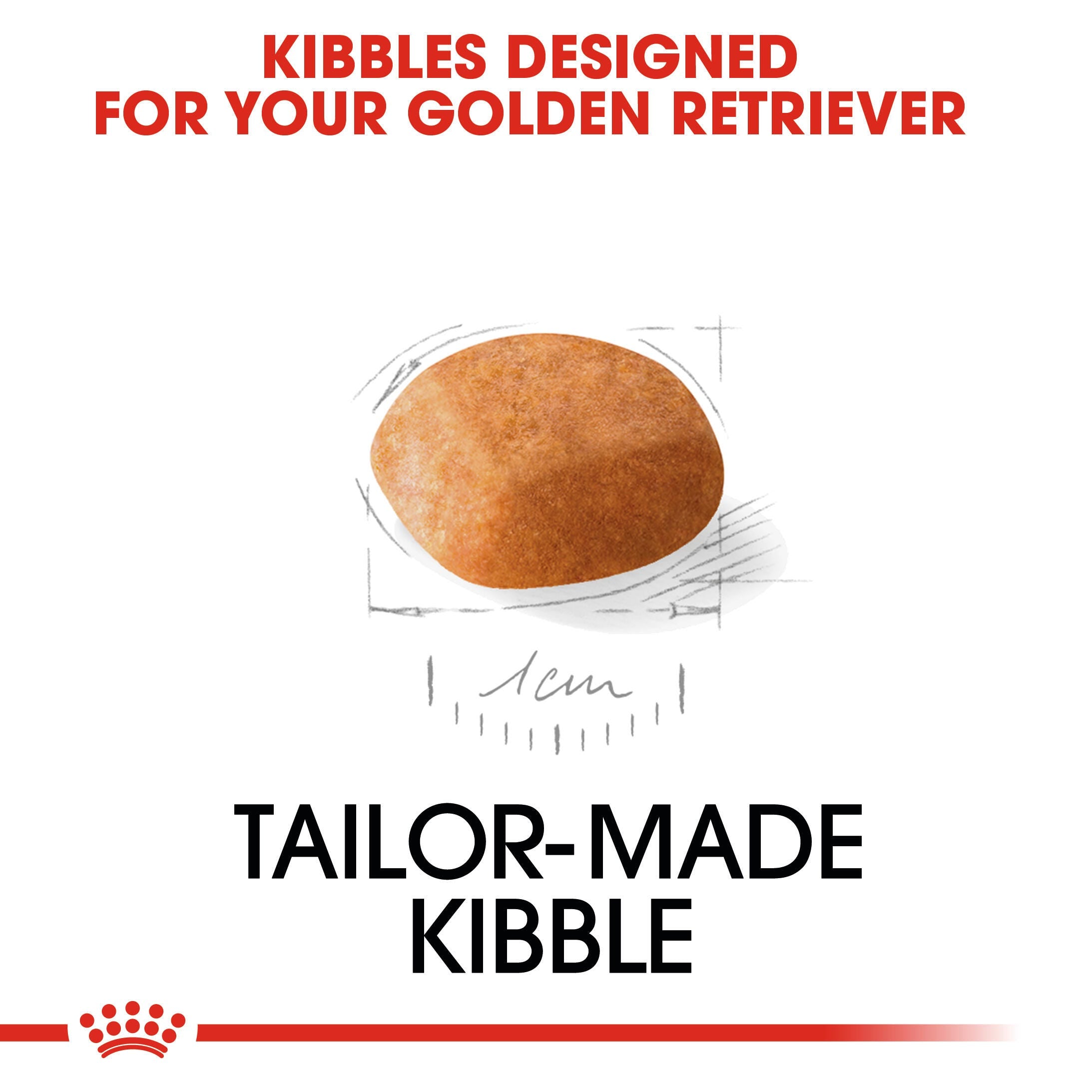 Royal Canin Golden Retriever Puppy tailor-made kibble shown at one-centimetre scale
