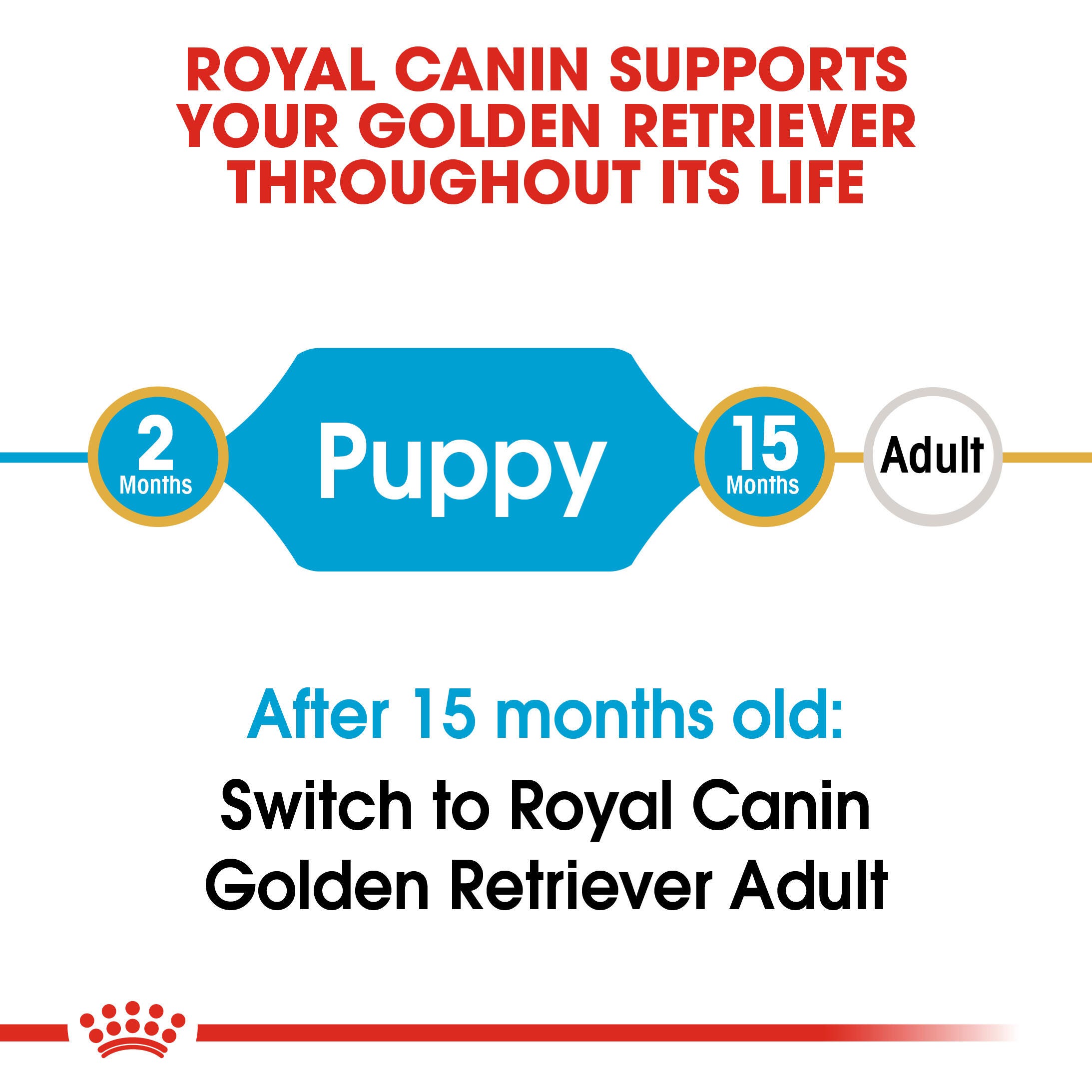 Royal Canin Golden Retriever Puppy life-stage guide from 2 to 15 months before adult food