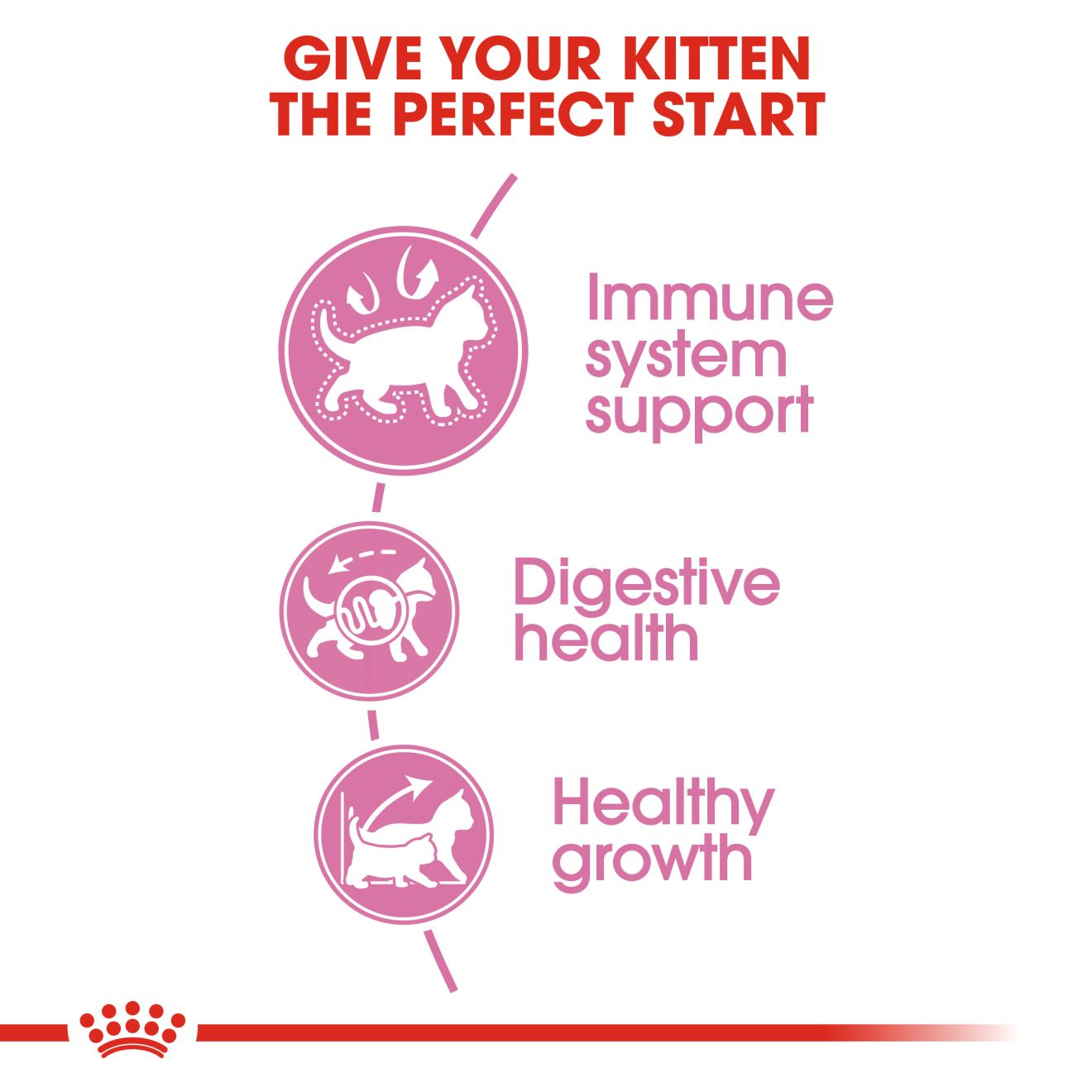 Royal Canin Kitten immune-system, digestive-health and healthy-growth benefits
