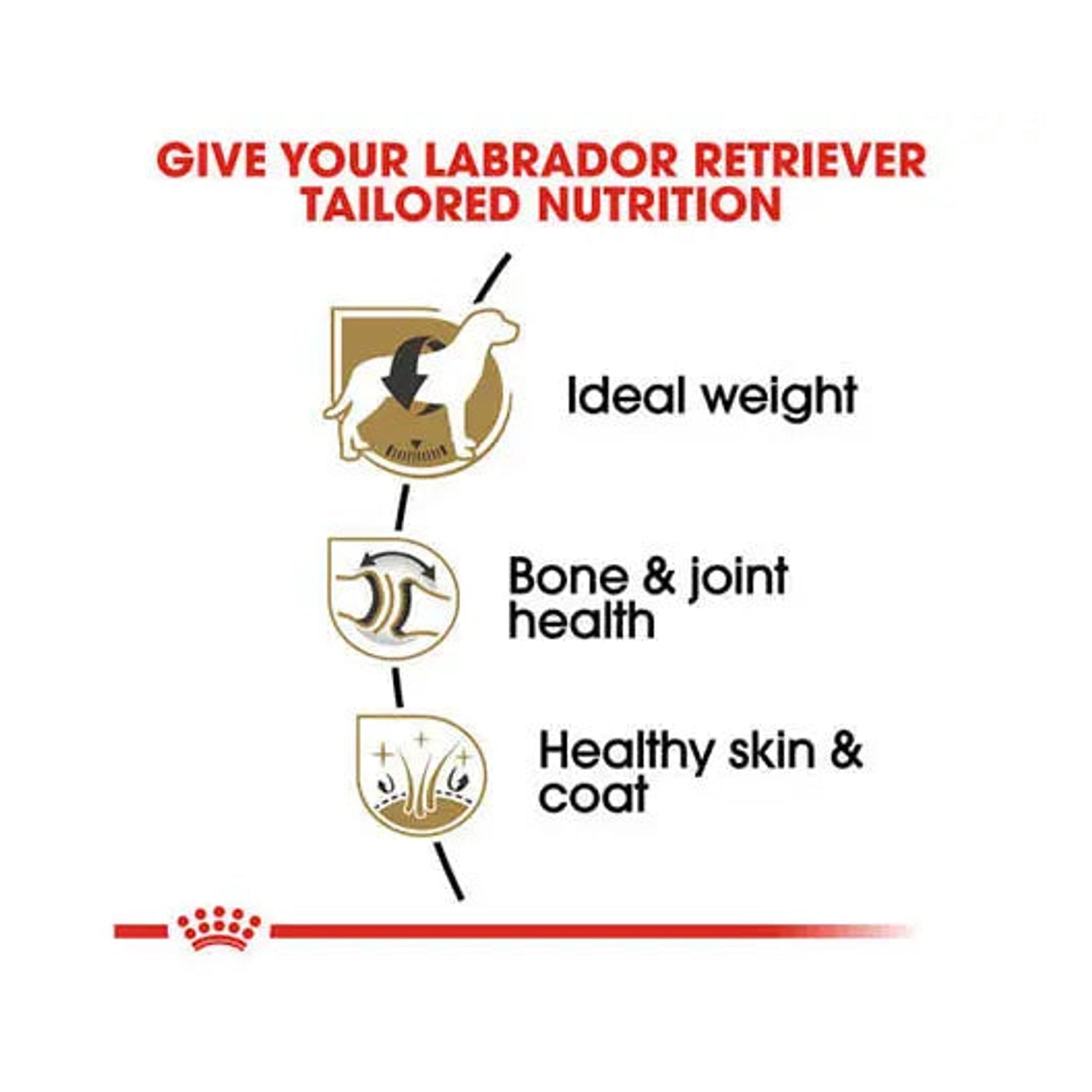 Royal Canin Labrador Adult ideal-weight, joint, skin and coat benefits