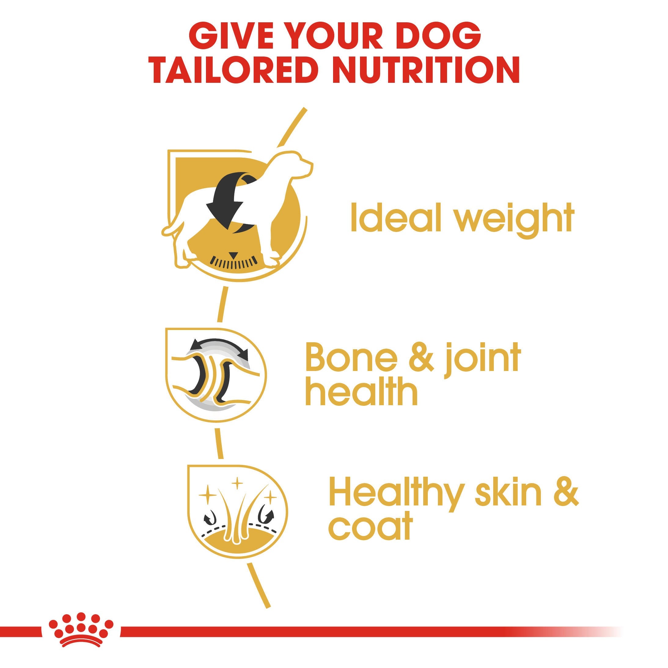 Royal Canin Labrador Retriever Adult ideal-weight, joint-health and skin-and-coat benefits