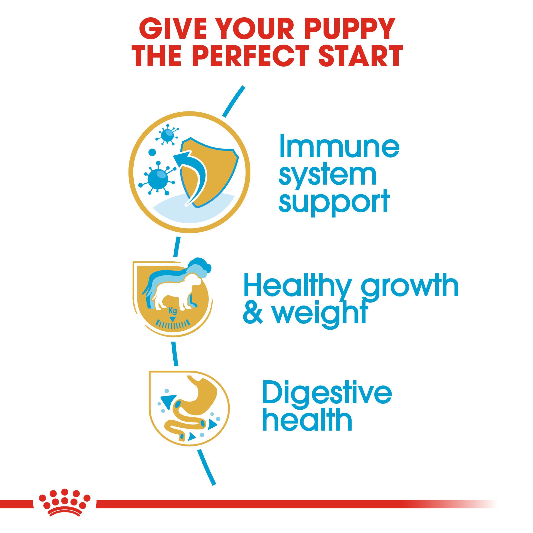 Royal Canin Labrador Retriever Puppy immune, healthy-growth and digestive-health benefits