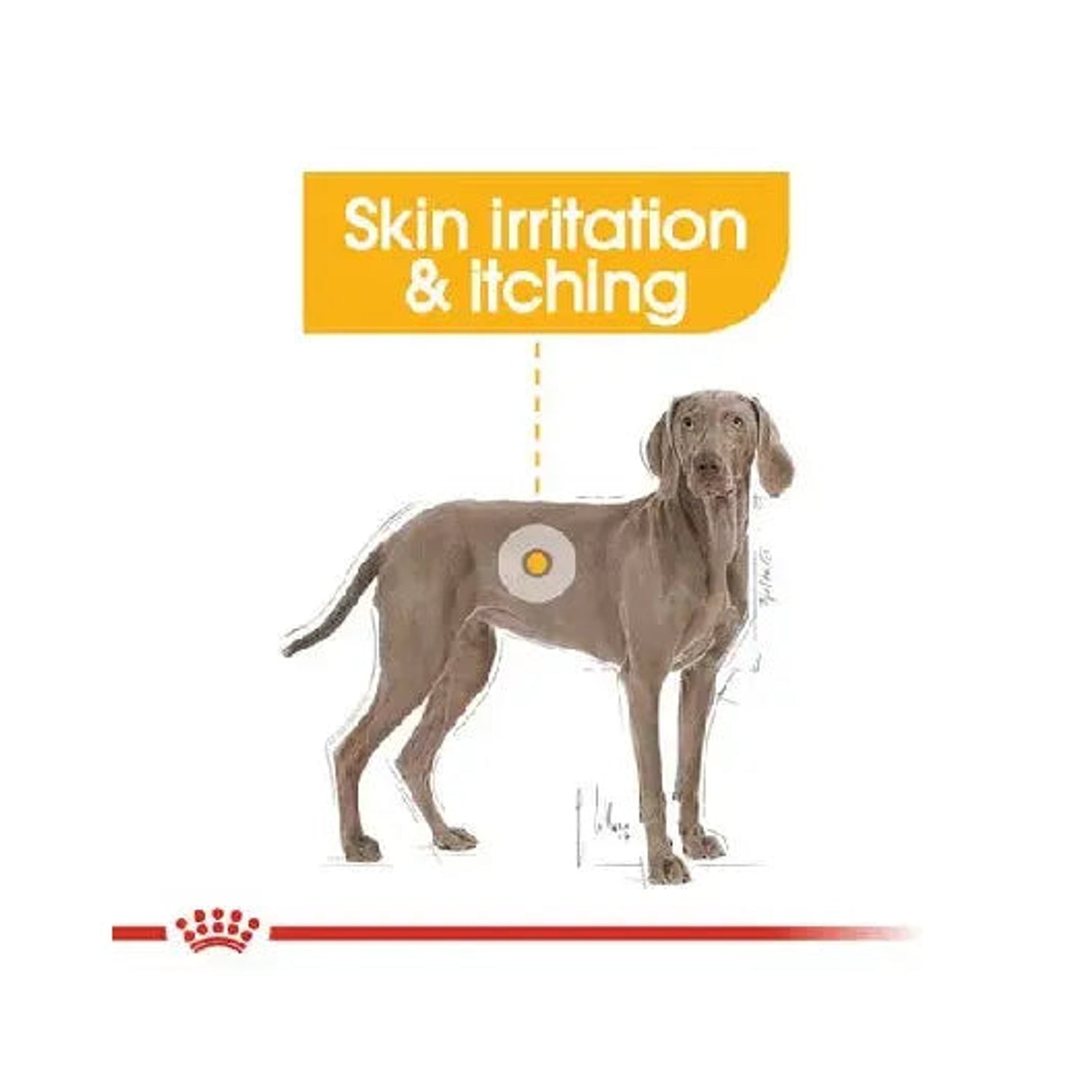 Royal Canin Dermacomfort Maxi skin irritation and itching support illustration