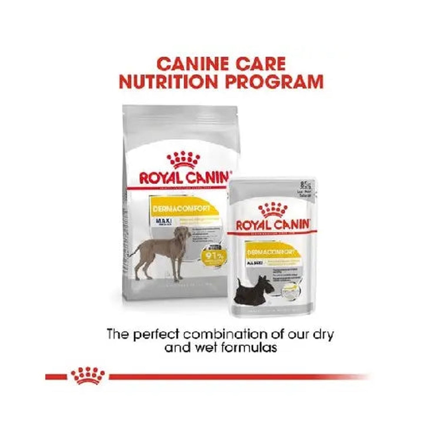 Royal Canin Dermacomfort Maxi dry and wet nutrition combination