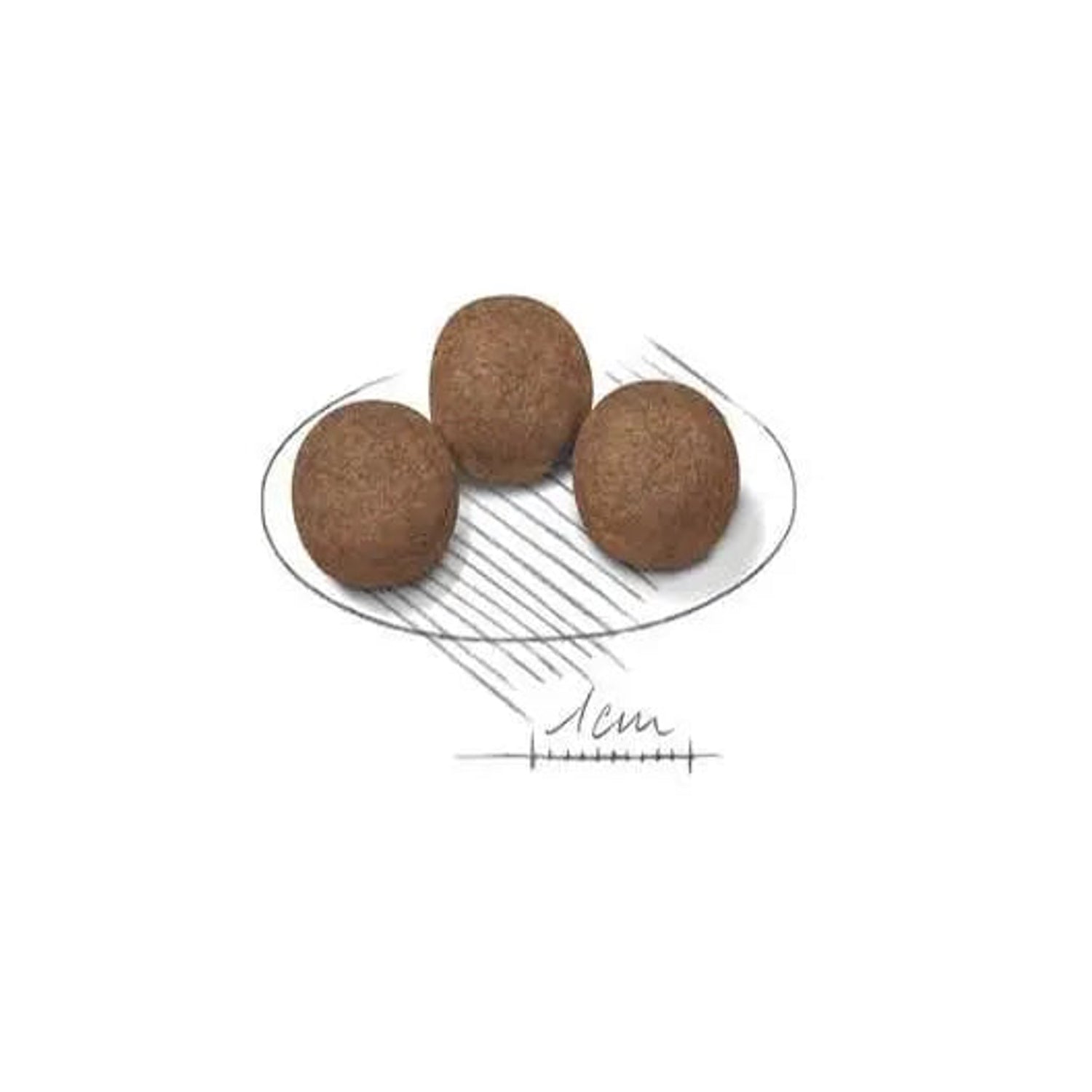 Royal Canin Maxi Puppy rounded kibble shown at one-centimetre scale