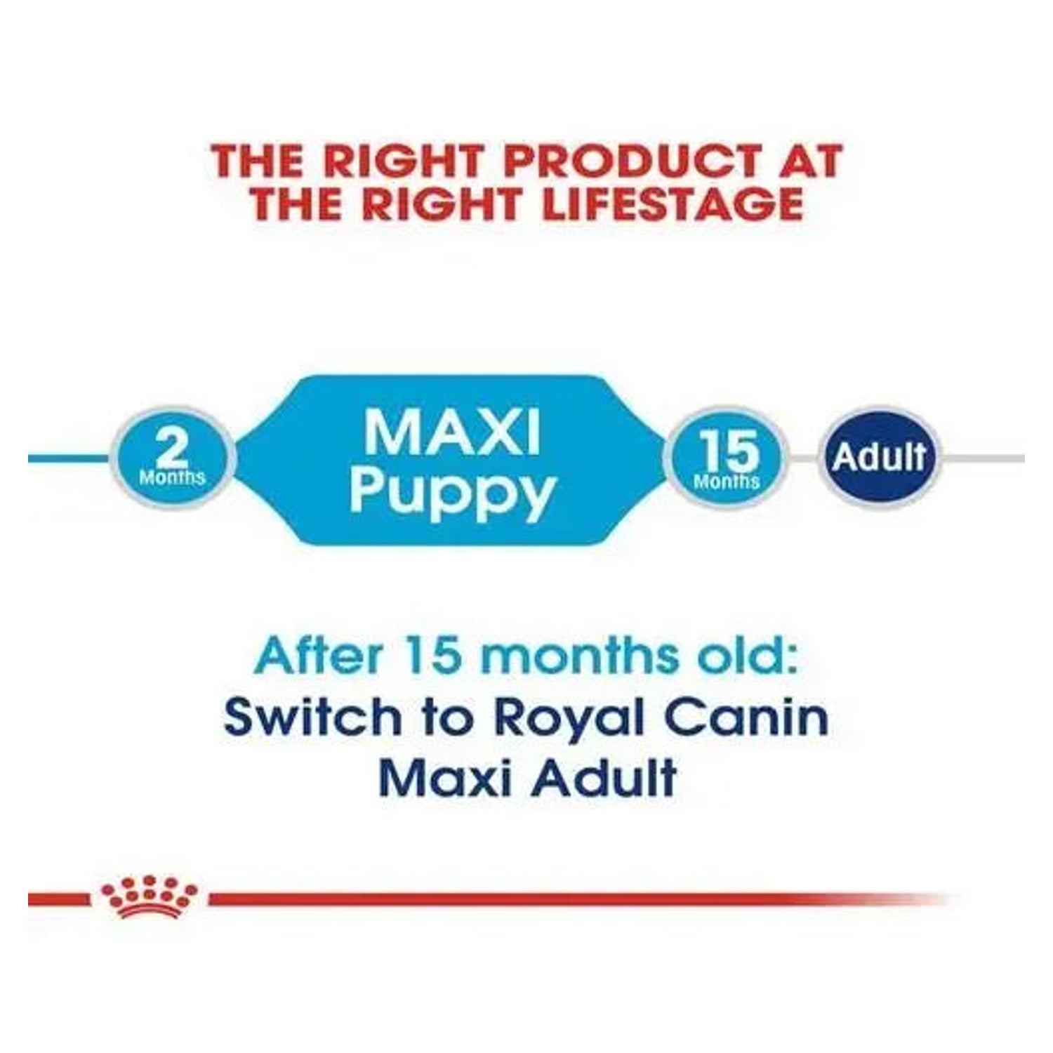 Royal Canin Maxi Puppy life-stage guide from 2 to 15 months