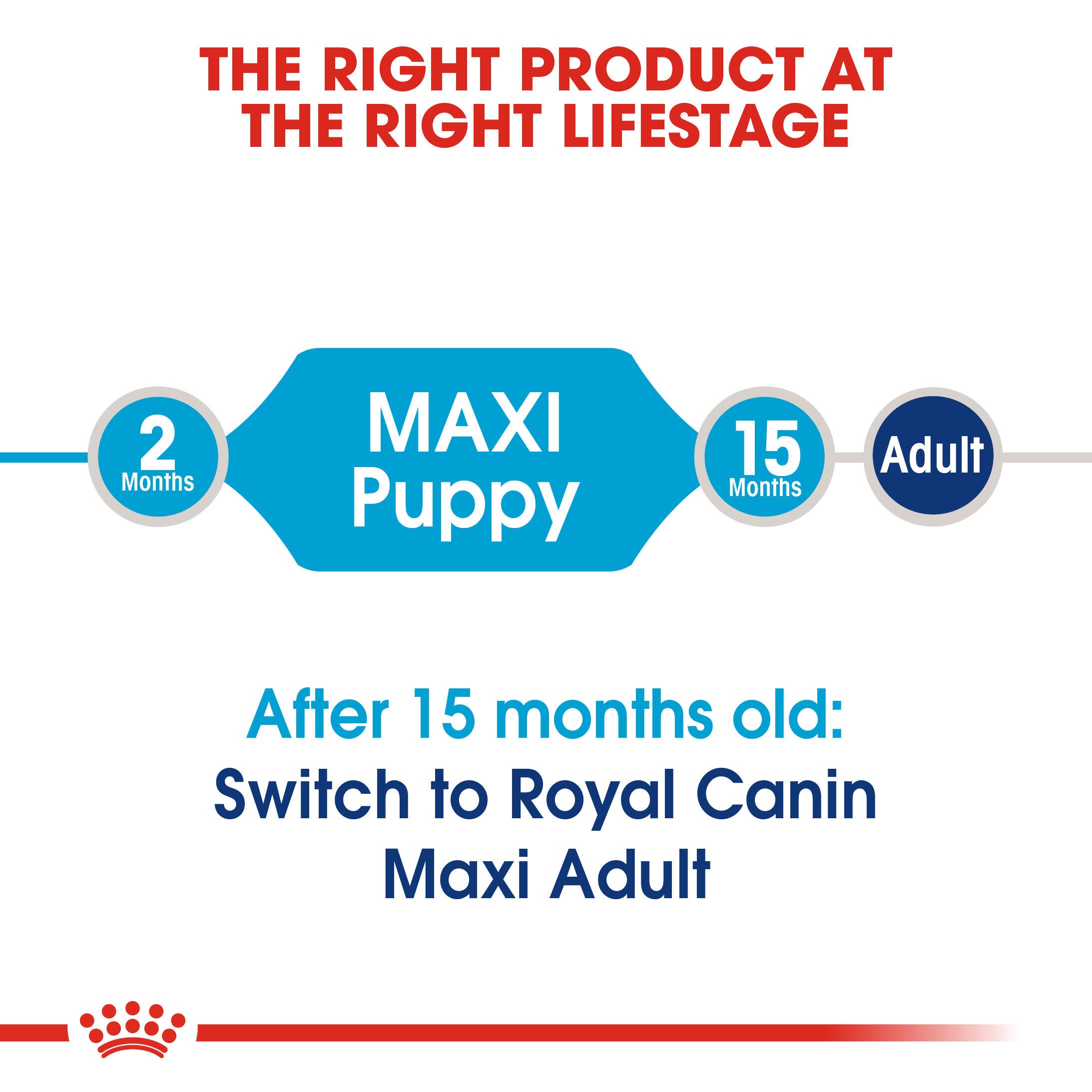 Royal Canin Maxi Puppy life-stage guide from 2 to 15 months before Maxi Adult