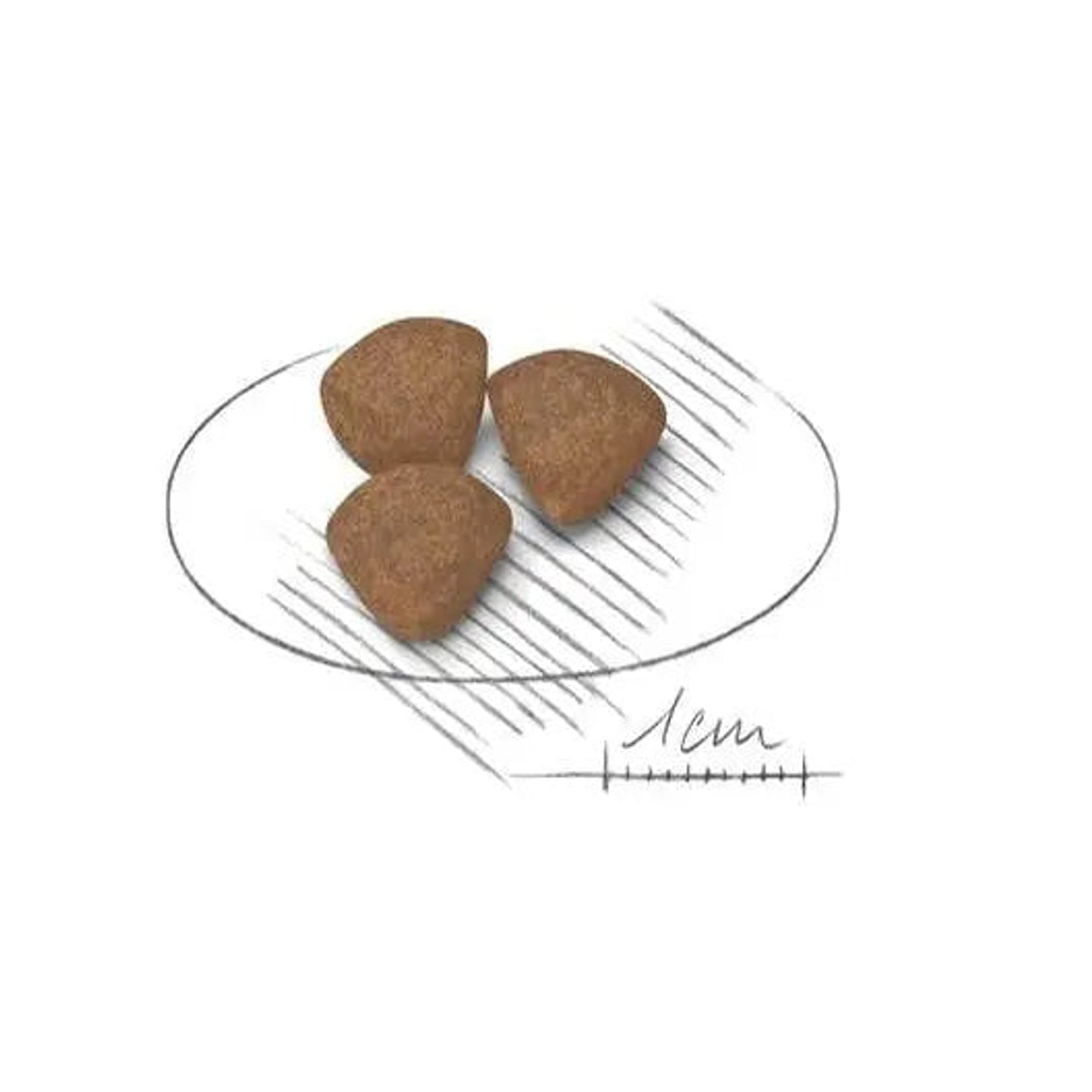 Royal Canin Mini Adult triangular kibble shown at one-centimetre scale