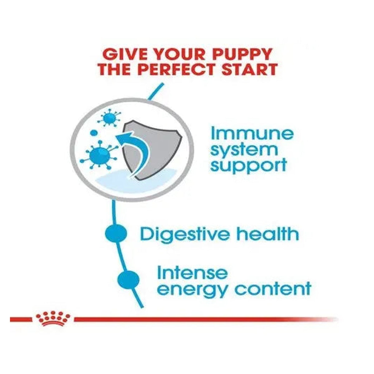 Royal Canin Mini Puppy immune, digestive and high-energy support benefits