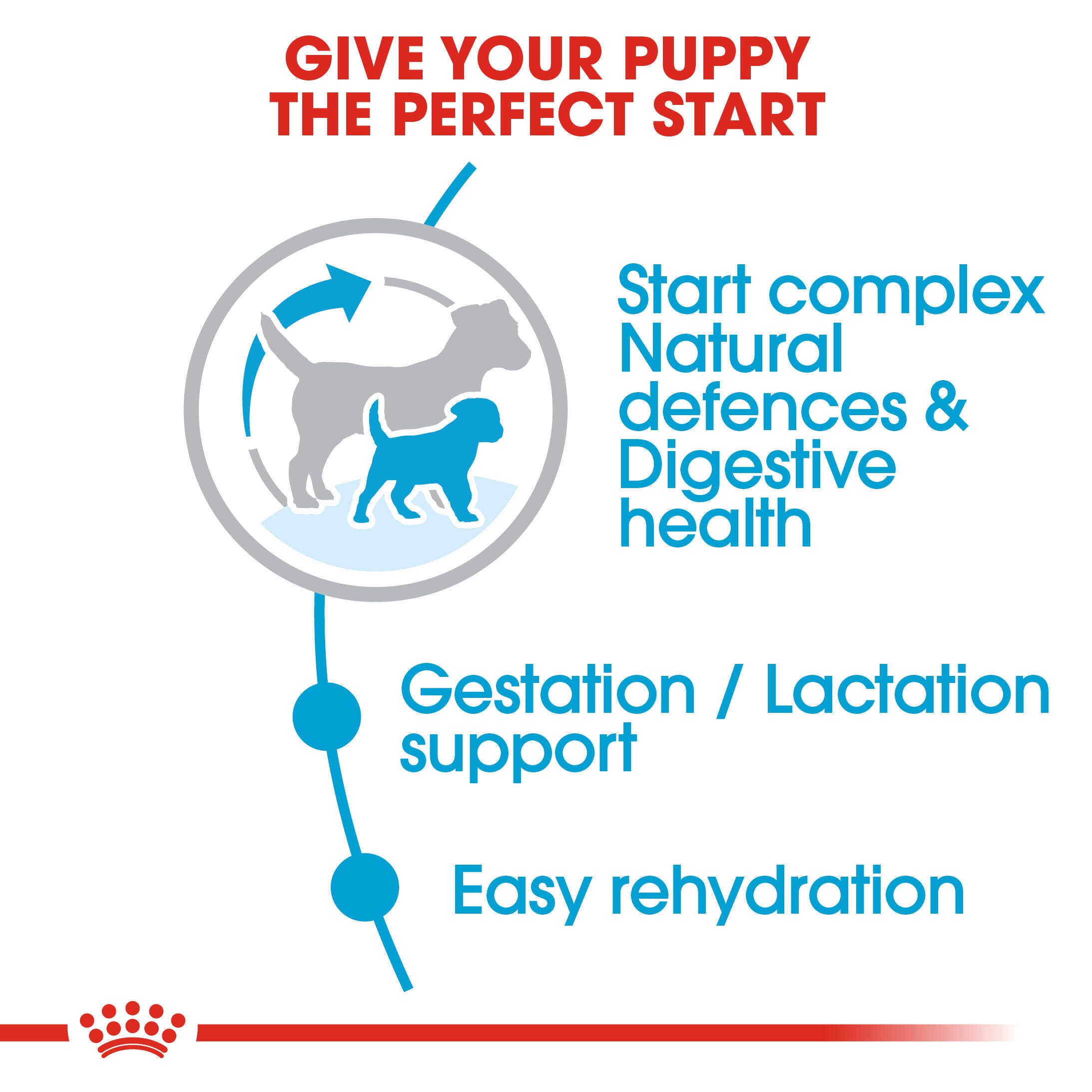 Royal Canin Mini Starter natural-defence, digestive, gestation and rehydration benefits