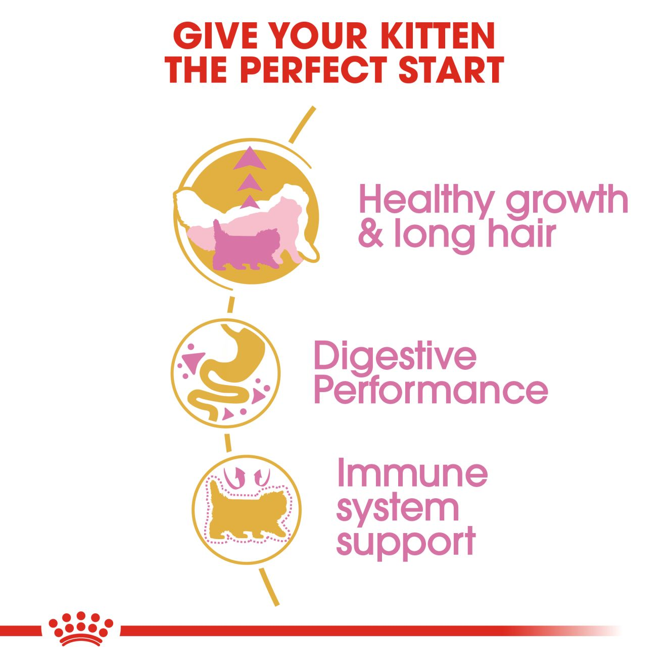 Royal Canin Persian Kitten healthy growth, digestive performance and immune support benefits