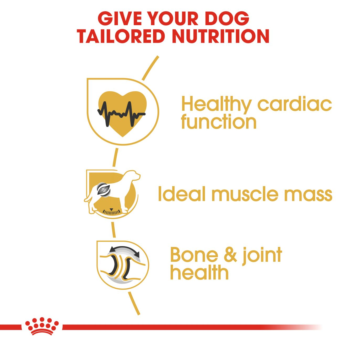 Royal Canin Rottweiler Adult cardiac health, muscle mass and bone and joint benefits