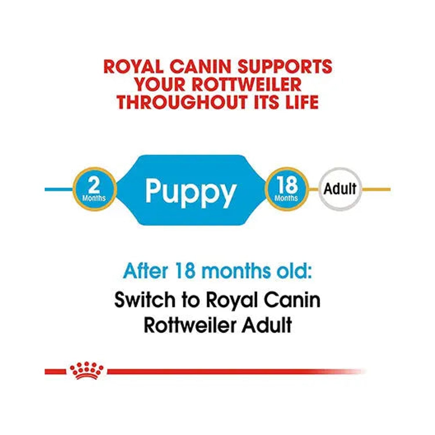 Royal Canin Rottweiler Puppy life-stage guide from 2 to 18 months