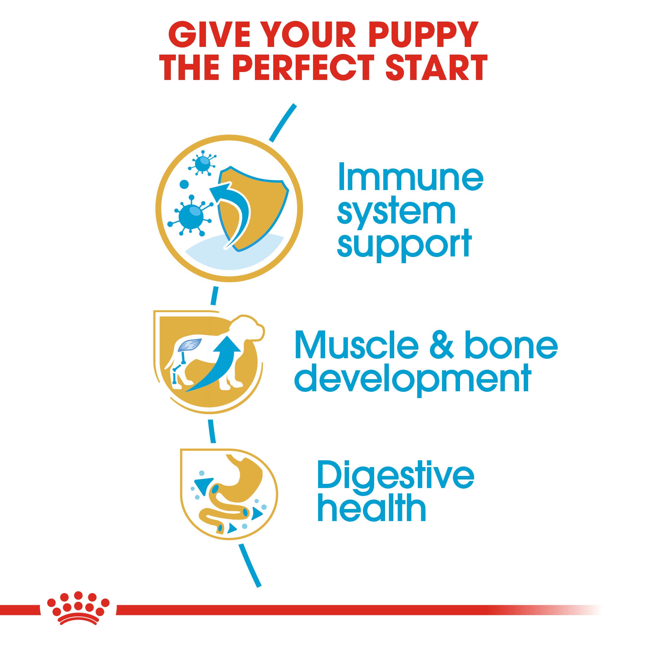 Royal Canin Rottweiler Puppy immune, muscle-and-bone and digestive-health benefits