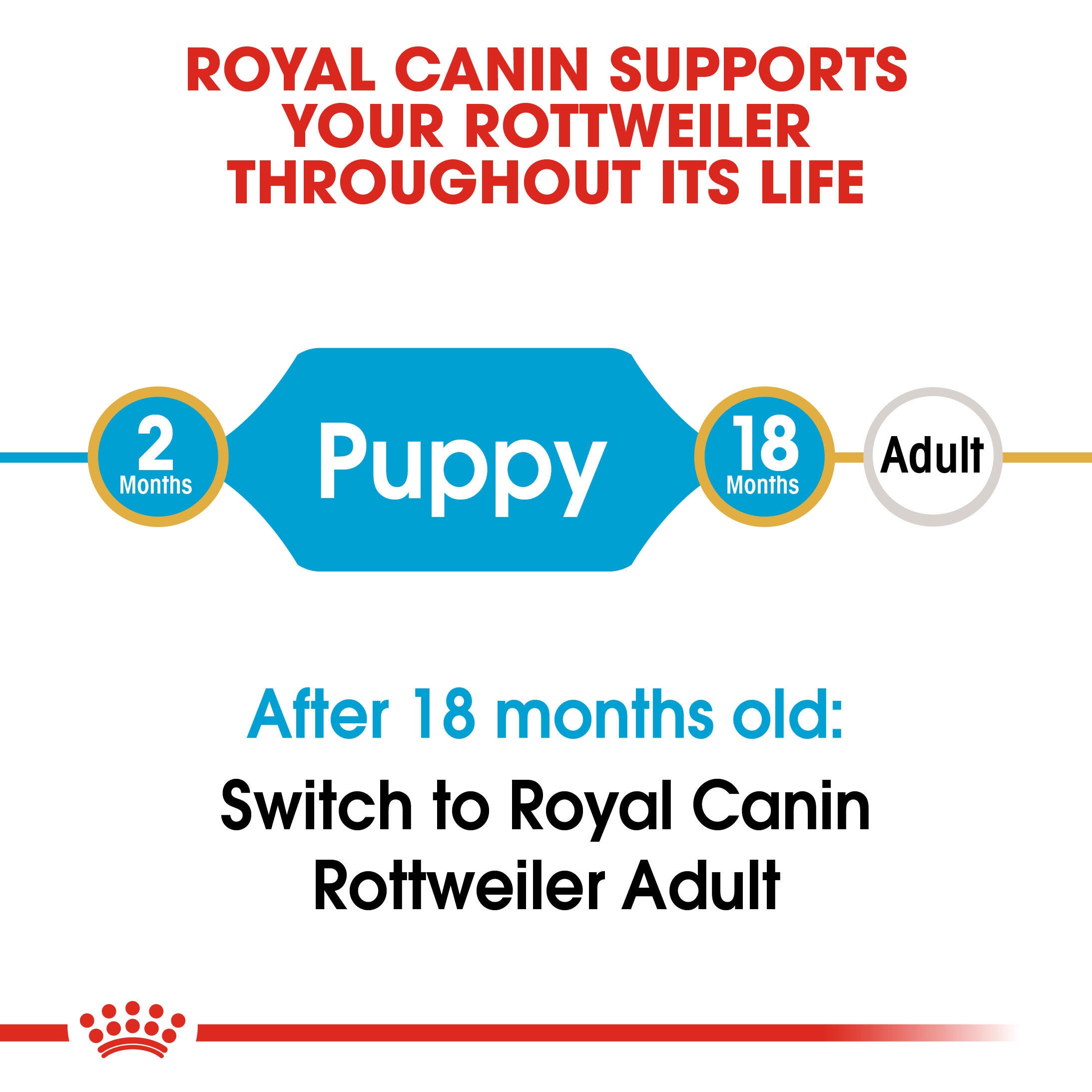 Royal Canin Rottweiler Puppy life-stage guide from 2 to 18 months before adult food