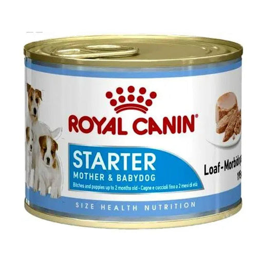 Royal Canin Starter Mousse 195g - Mother and Puppy pack front on white background