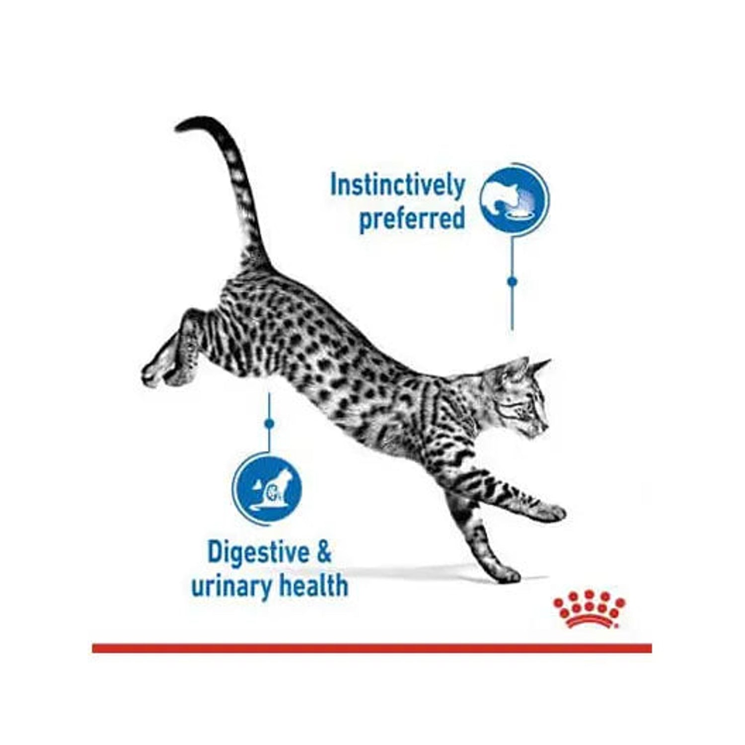 Royal Canin Indoor Sterilised cat food digestive, urinary and palatability benefits