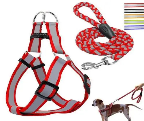 Reflective Medium Dog Harness