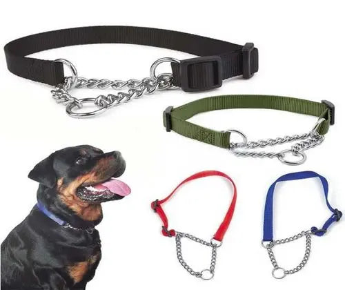 Medium Dog Chained Martingale Collar with Leash