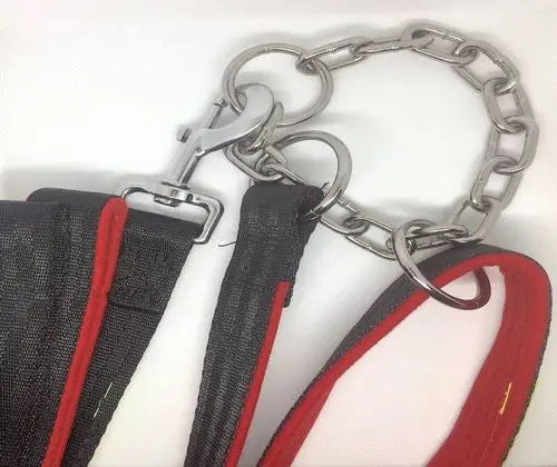 Medium Dog Chained Martingale Collar with Leash