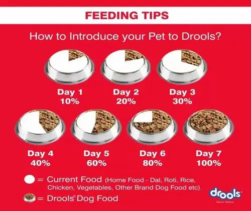 Drools Dog Food 1.2Kg - Puppy (Large Breed) pack front