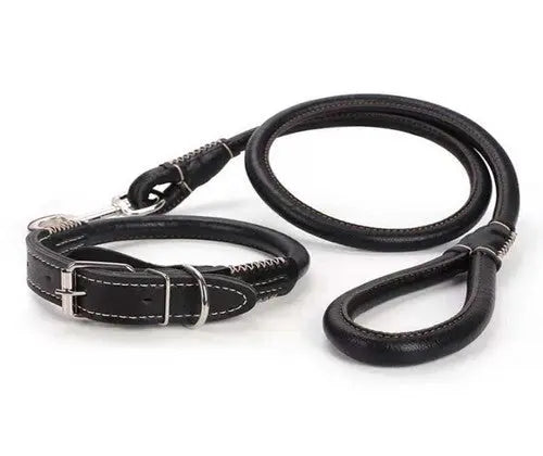 Medium/Large Dog Leather Collar & Leash