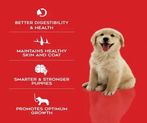 Drools Dog Food Starter 10Kg - Mother and Puppy (Large Breed) pack front