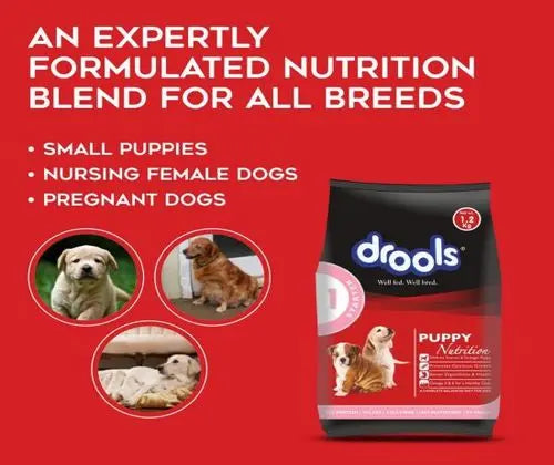 Drools Dog Food Starter 10Kg - Mother and Puppy (Large Breed) pack front