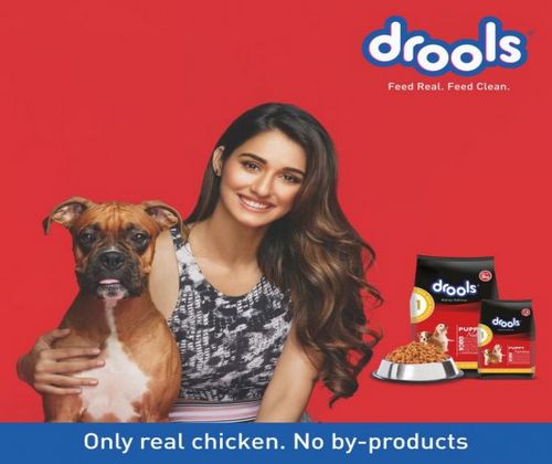 Drools Dog Food 12Kg - Adult (Large Breed) pack front