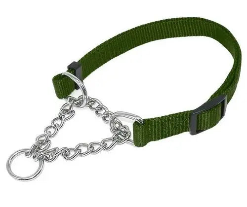 Medium Dog Chained Martingale Collar with Leash
