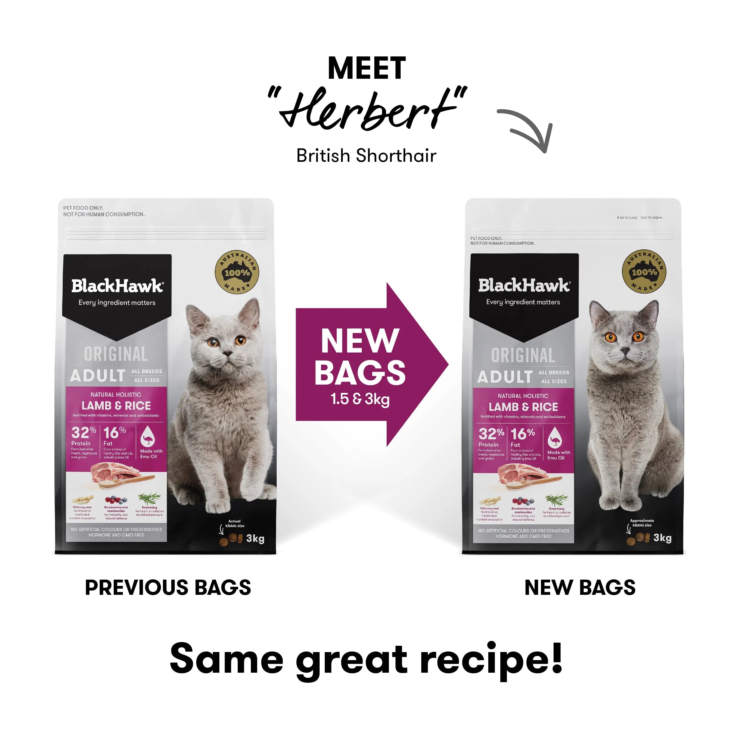 BlackHawk Adult Cat – Lamb & Rice 3kg