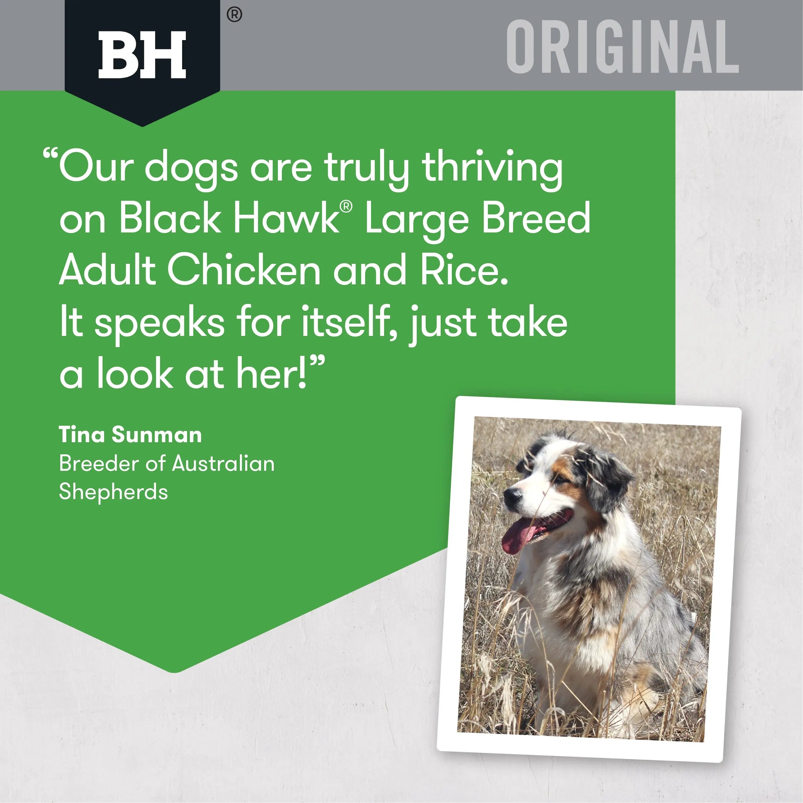 BlackHawk Adult – Large Breed Chicken & Rice 20kg