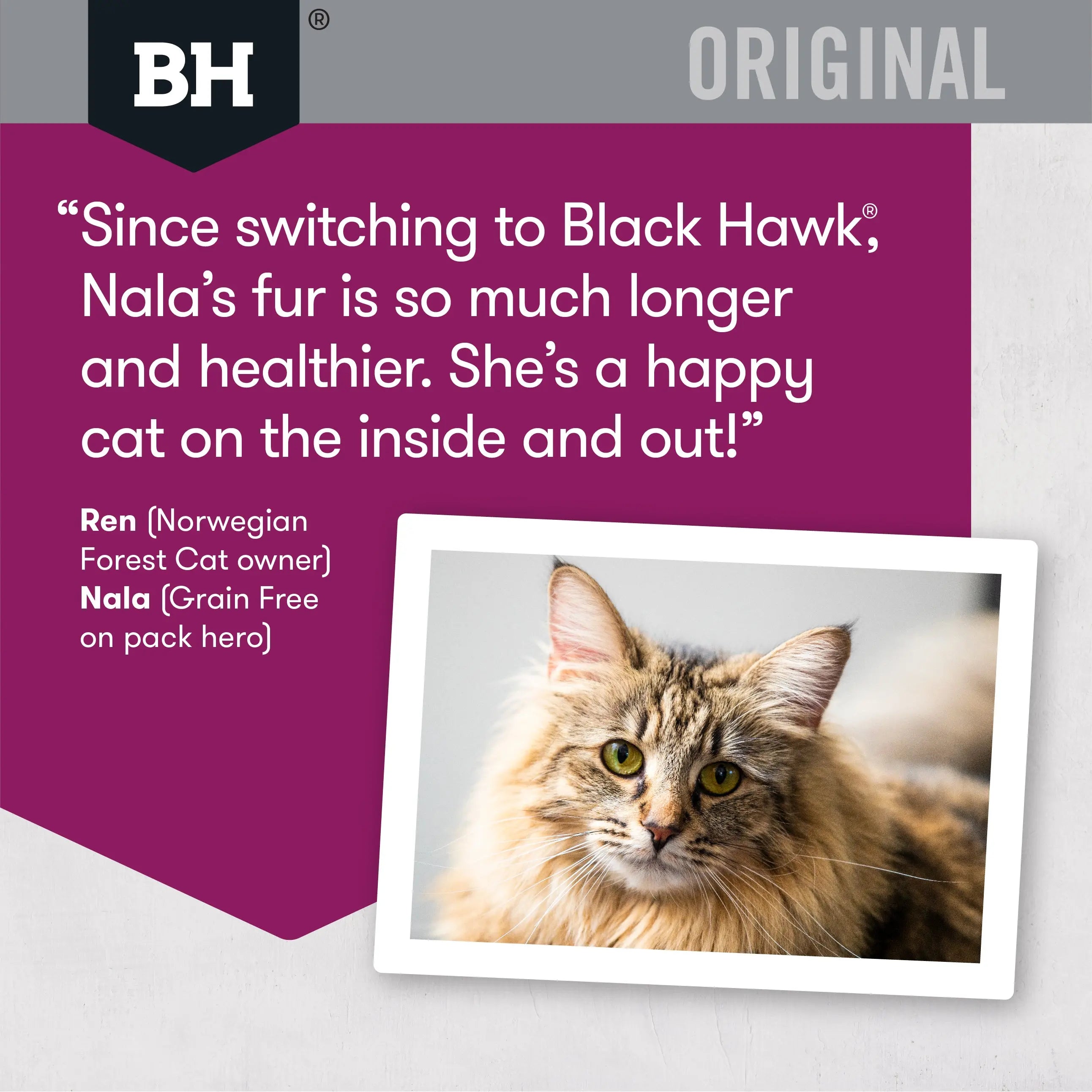 BlackHawk Adult Cat – Lamb & Rice 3kg