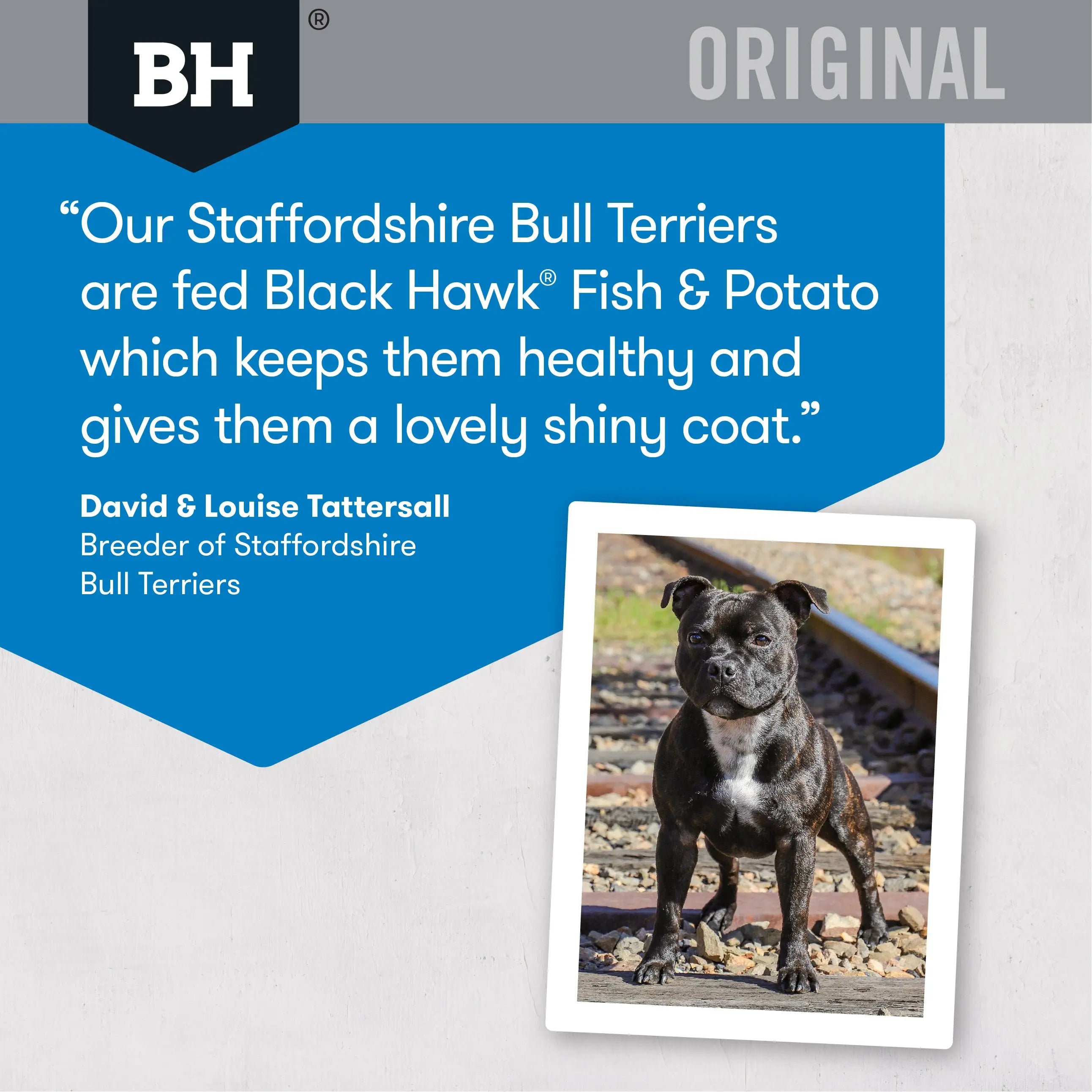 BlackHawk Adult Dog – Fish & Potato 20kg