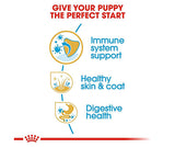 Royal Canin Dry Food  1Kg- Golden Retriever Puppy
