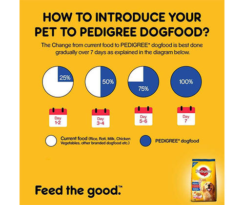 PEDIGREE® Adult Chicken, Rice and Vegetable Dry Food – 370 g