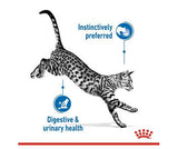 Royal Canin Indoor Sterilised (in Jelly) 12x85g - Cats