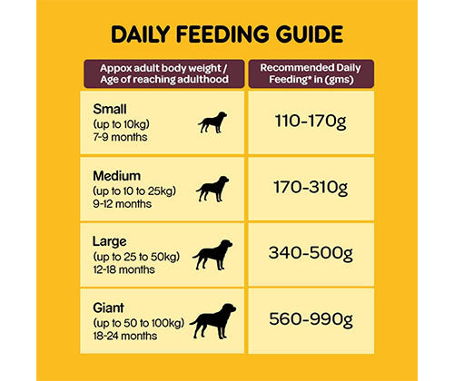PEDIGREE® Adult Meat &amp; Rice Dry Food – 1 kg pack front