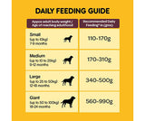 Pedigree Meat & Rice 1.2Kg  - Adult Dog