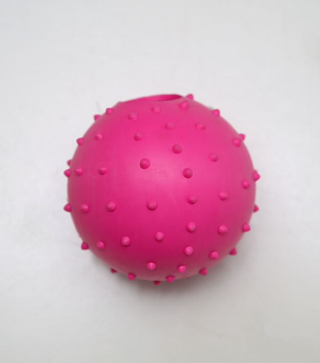 Spiky Toy Ball for Dogs