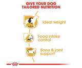 Royal Canin Dry Food 3Kg - Adult Beagle