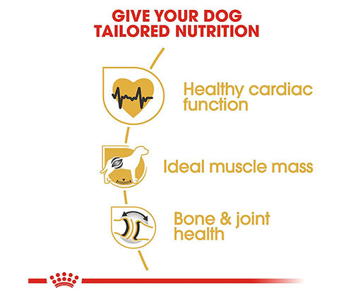 Royal Canin  product photo