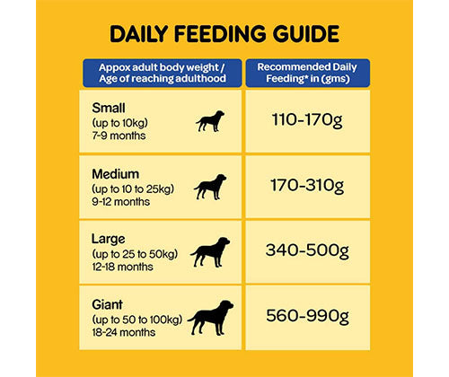 PEDIGREE® Adult Chicken, Rice and Vegetable Dry Food – 370 g