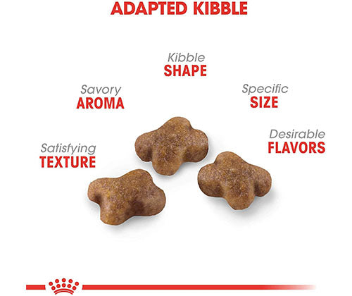 Royal Canin Dry Food 2Kg- Kitten