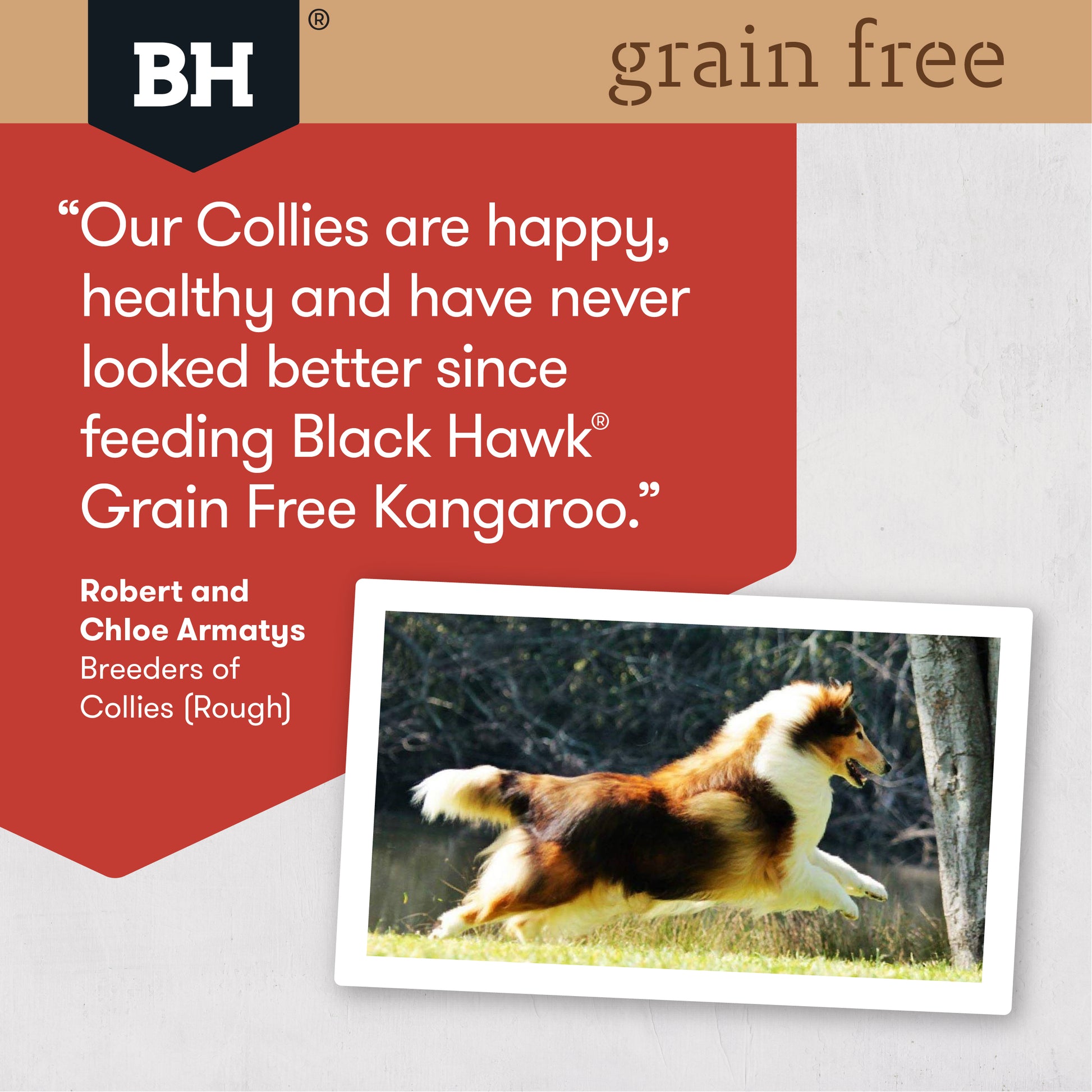 Black Hawk Adult Grain Free Kangaroo 7Kg product photo