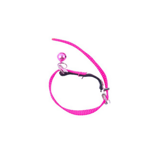 Nylon Collar With Bell For Cats - 10mm x 35cm pack front
