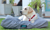 Patiya Beds for Dogs