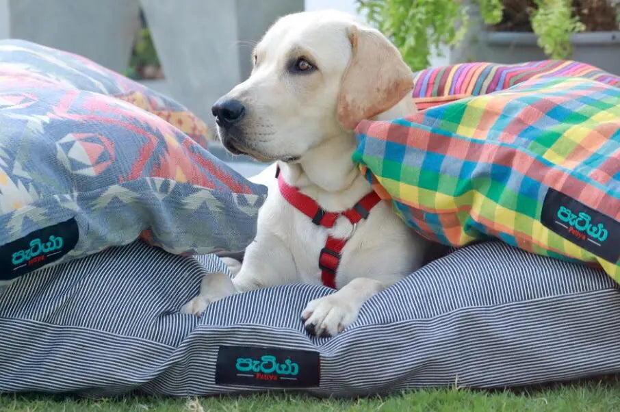 Patiya Handloom Dog Bed