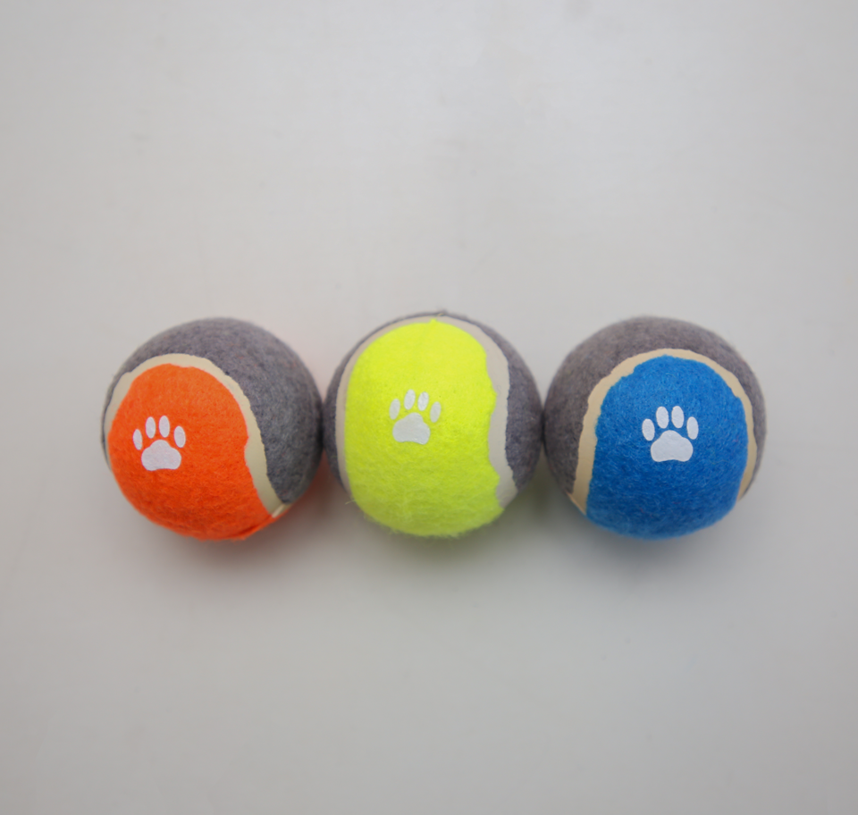 Set of 3 Paw Printed Tennis Balls for Dogs